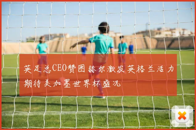 英足总CEO赞图赫尔激发英格兰活力期待美加墨世界杯盛况
