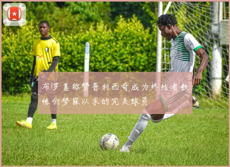布罗基称赞普利西奇成为终结者教练们梦寐以求的完美球员