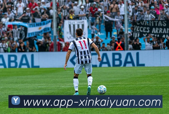 开元体育平台生态图